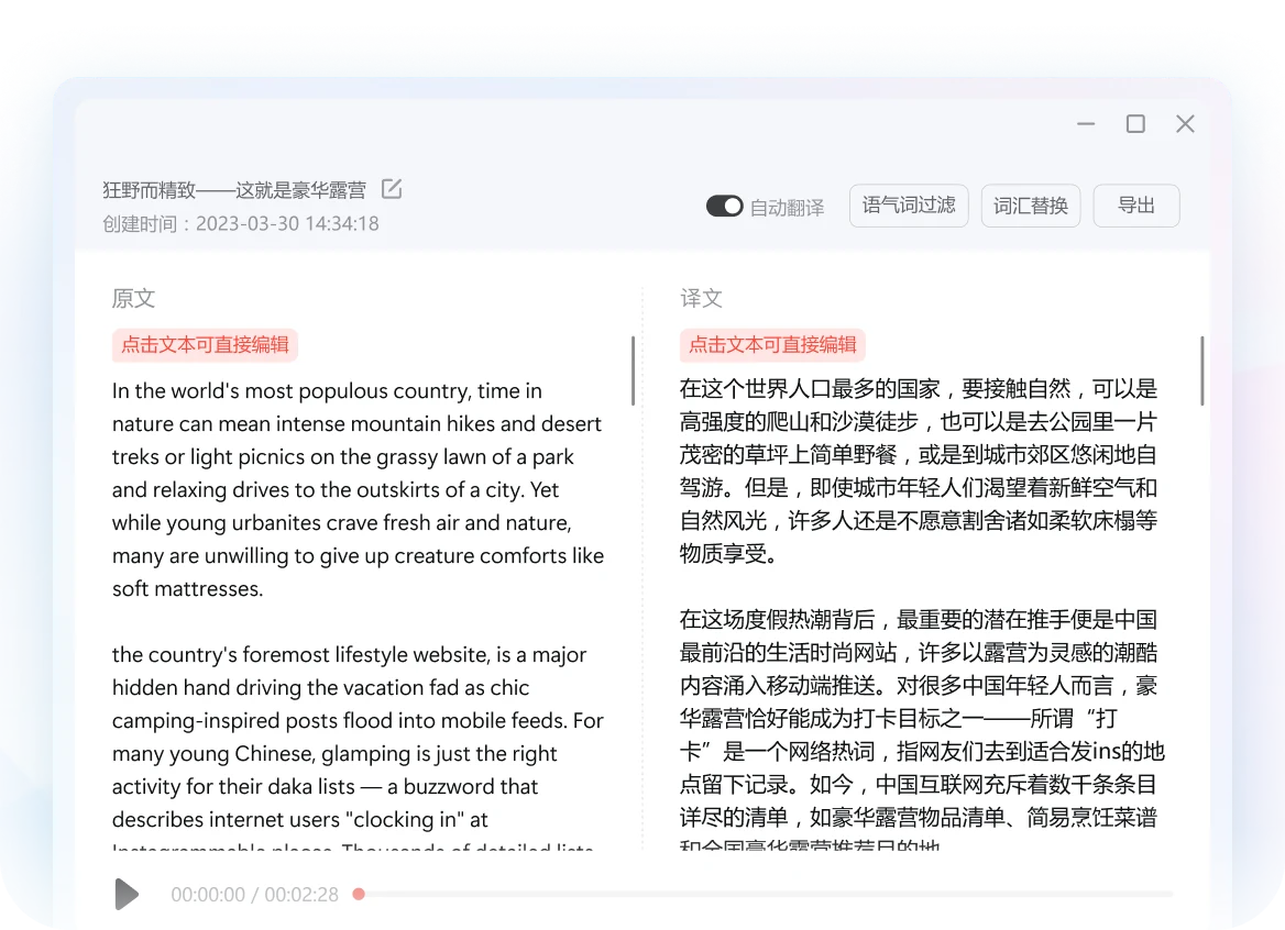 有道翻译桌面端功能界面，展示专业文献术语应用指南